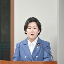 253 이미지