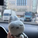 (주)대단한클로버