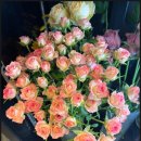 리즈플라워 | 의정부꽃집 리즈플라워에서 환갑 꽃바구니 주문한 솔직 후기