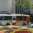 전국자동차노동조합연맹 울산지역버스노동 이미지