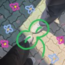 대한응급처치교육센터 | [안전보건응급처치교육센터] 교직원 CPR 교육 후기 자동심장충격기 사용법부터 기도폐쇄 대처까지