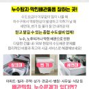 박성제내과의원 네이버블로그