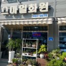 스마일화원 이미지