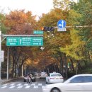 목동동로2길 이미지