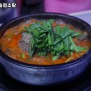 광산가마솥염소탕
