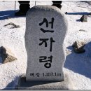 포남주유소 이미지