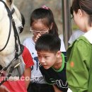 연초초등학교 이미지