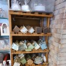 자연의향기 이미지