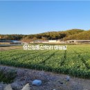 청통면행정복지센터 이미지