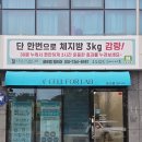 원티어