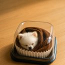 유나포차 | 7月ㅣ언제 이렇게 시간이 지나가버렸지? (2)