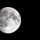 월광(Moon Light) Daum카페
