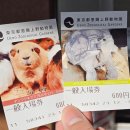 리리포레스트 | 도쿄 우에노 동물원 자이언트 판다 샤오샤오 레이레이 신신 리리 보러 간 후기 일본 커플여행 추천