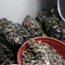 예슬가마솥국밥 이미지