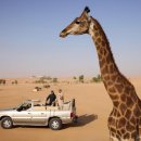 코끼리 게임장 이미지