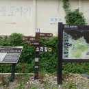 남산제일봉(1054m), 오봉산(967m)/경남 합천 이미지