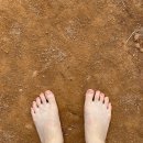 미평종합복지관 | 미평산림욕장 황토길 체험