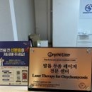 양재삼성마취통증의학과의원 | 과천 내성 발톱무좀 병원에서 말끔히 케어 받았어요