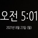 오드리 독 이미지