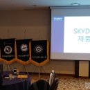 스카이디지탈 이미지