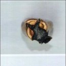 오발탄 이미지