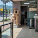 송도 종합 동물병원 이미지