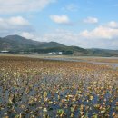 주남