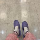 GS25포항세명 | 포항세명기독병원 건강검진 후기 위내시경 심장초음파 요추ct