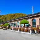 장익는마을 이미지