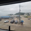 물회섭국