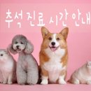 지경희동물병원 이미지