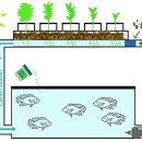 [최성환의 농업혁명] 농자천하지대본 農者天下之大本 Agriculture is the prop of the country 이미지