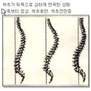 수림한방병원 이미지