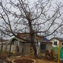 연미정 민박 이미지