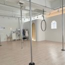 밸런스 라인댄스 | 댄스] 에겐녀 도전기｜초보자도 재밌게 배우는 구월동폴댄스 후기 | 키즈반 | 전문가반 | 폴프로필 | 대관