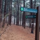 광교로삼거리 이미지