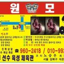 화랑복싱클럽 이미지