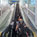 신태인약국 | 목포에서 기차 타고 전주 여행 다녀오다 무궁화호 타고감 기차여행