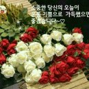 지금 이 순간 이미지