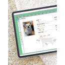 내가할개 이미지