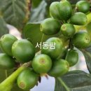 힐링아트 향초 이미지