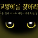 531마케팅