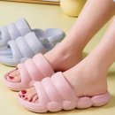 7457 이미지
