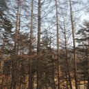 내촌면복지회관 이미지