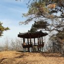 월천천 네이버블로그