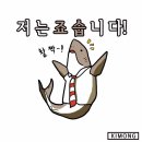 랄라홍 이미지