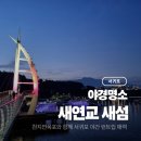 칠십리교 | 제주도 서귀포 러닝 코스 야간 새연교 새섬