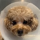 CR메디칼 이미지