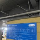 엄마김치 | 전남 여수 여행 갓김치 구매 내 돈 내산 후기! 서 시장 엄마 김치