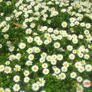 번개식당 이미지